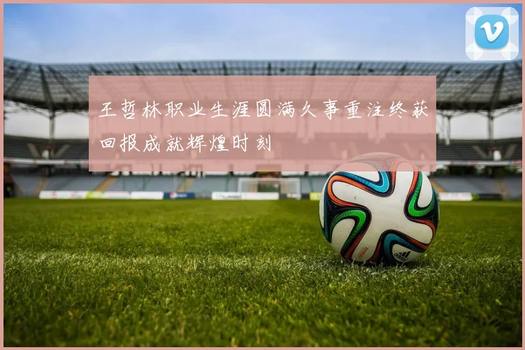 王哲林职业生涯圆满久事重注终获回报成就辉煌时刻
